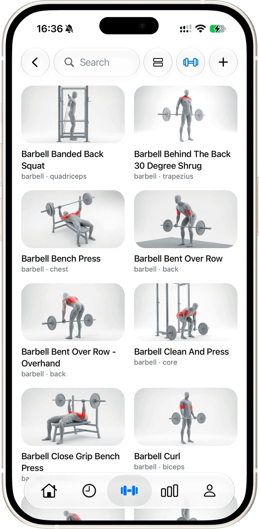 The exercise library showing barbell exercises with highlighted muscles